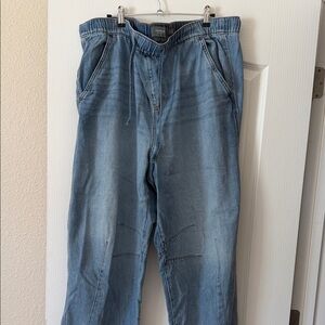 Torrid Relaxed Fit Denim Jeans - Light Blue